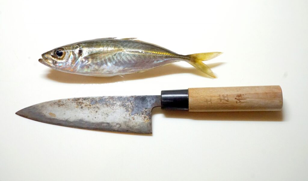 魚をさばく出刃包丁か牛刀か、初心者が買うとしたら